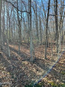 122 Hunterwood Ln, Crossville, TN, 38558