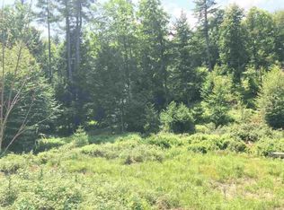 49 Old Stage Rd, Lake Luzerne, NY 12846