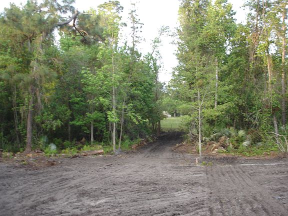 lots of surrounding trees   