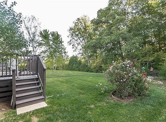 Backyard-backs to woods