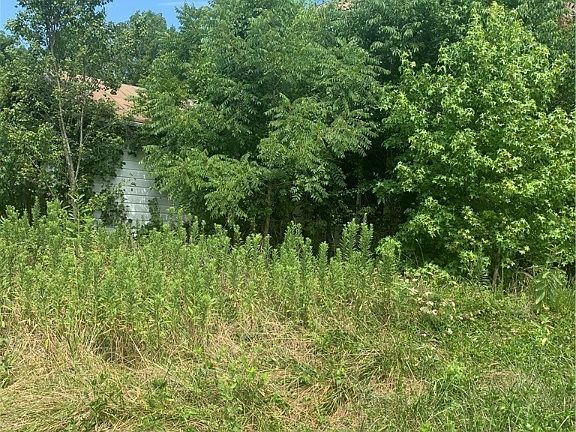 5th image of 4220 Rollins Dr