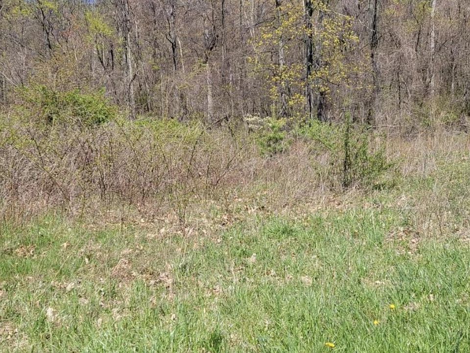 2nd image of Pennersville Rd
