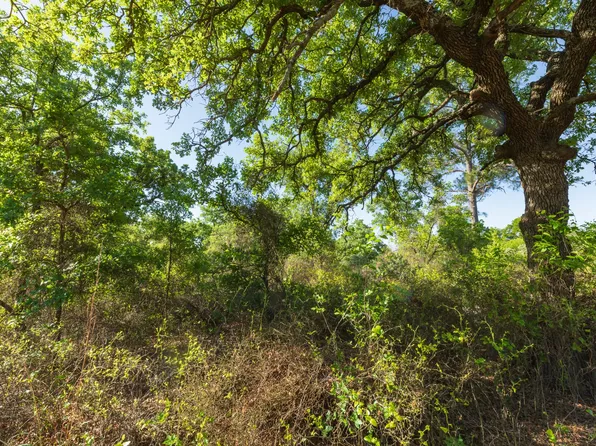 Private Road 705, Anson, TX 79501