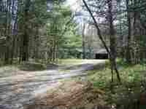 11150 Tranquil Trl, Roscommon, MI 48653