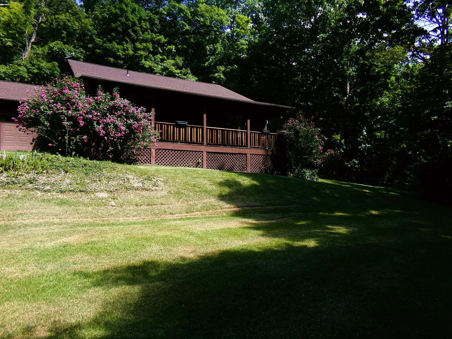 3 bed, 1.5 bath, 1470 sqft, $3,200 — Photo 4