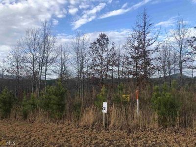 20 Northshore, Blairsville, GA, 30512