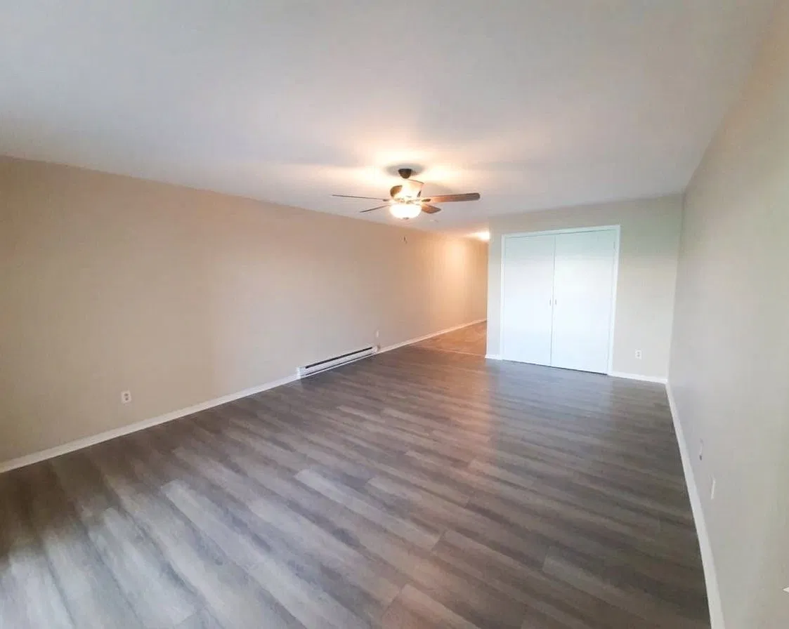 844 Princess Street — Photo 4