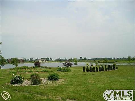 Back Yard, sun room view