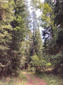 138028 Black Pine Ln, Weston, OR, 97886