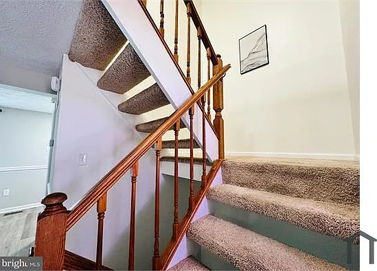 51 Chins Ct — Photo 30