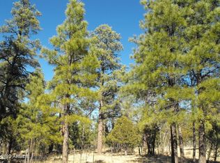 3123 Roundup Ln, Happy Jack, AZ 86024