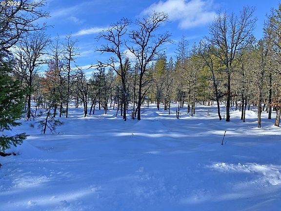 4th image of W Ponderosa Dr #138