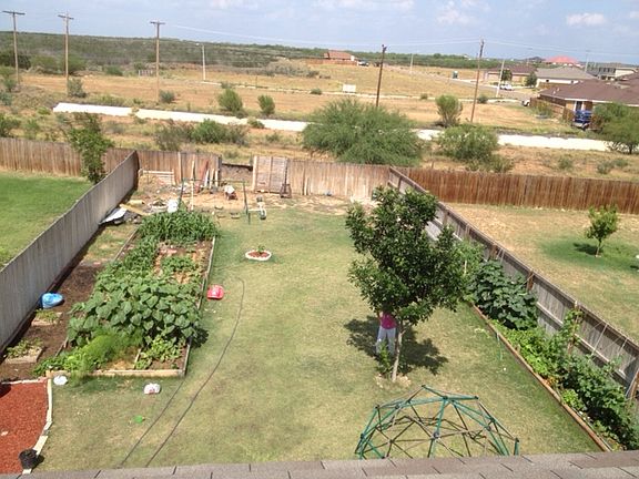 View of backyard 3yrs ago