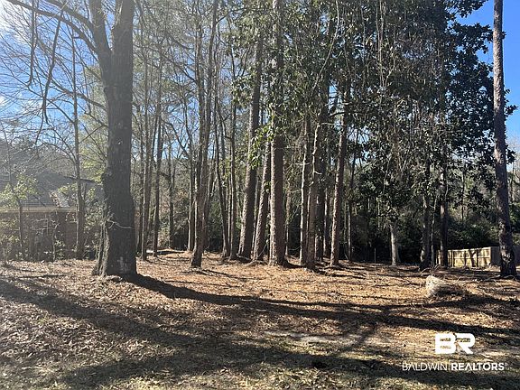4th image of 315 Springhill Woods Dr W