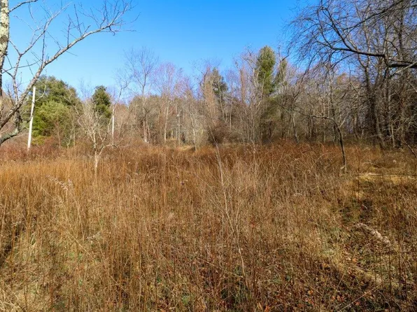 139 Old Hollow Trl, Fancy Gap, VA 24328