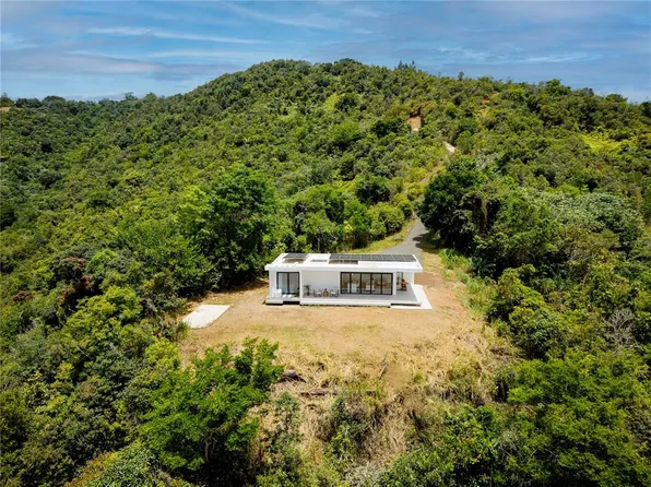 Bo Sumido 7737 Km 1 #6, Cayey, PR 00736