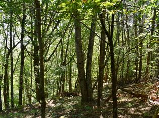 Talona Mountain Rd, Ellijay, GA 30536