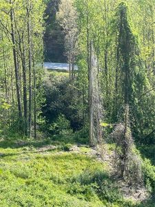 1010 Windy Hollow Dr, Brevard, NC, 28712