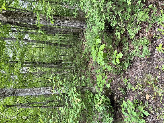 4th image of 0 Goose Creek Rd Lot 2