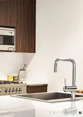 Rented by Triumph Property Group | media 4