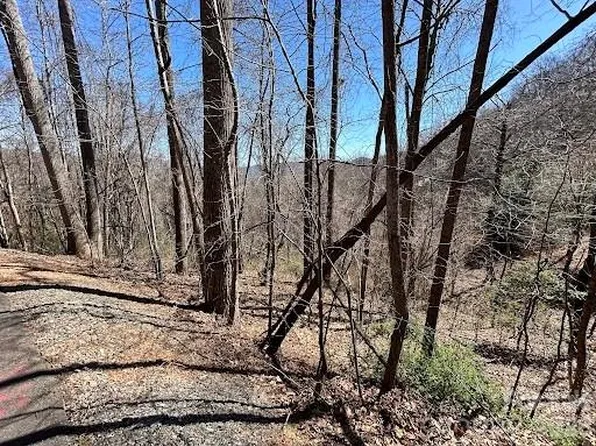 52 Hope View Rd, Swannanoa, NC 28778