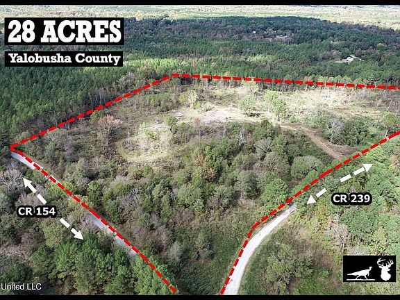 2nd image of 700 County Road 239