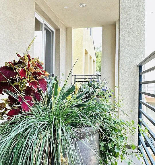 6581 Seabluff Dr #11 — Photo 12
