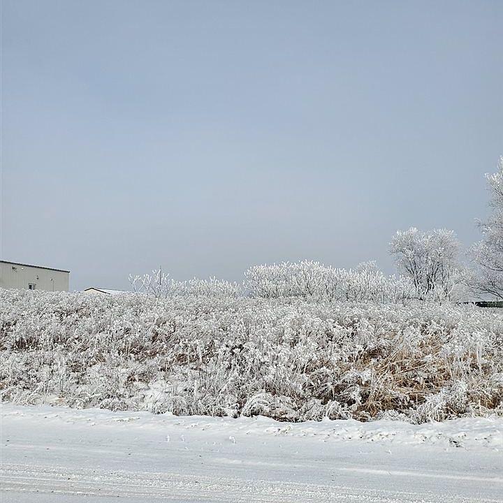 2nd image of 2730 Frontier Dr