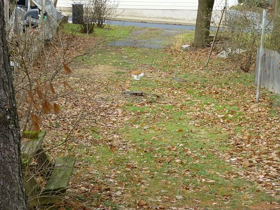 back yard with off street
