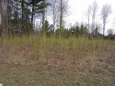 S Taxiway Golf, Lake City, MI, 49651