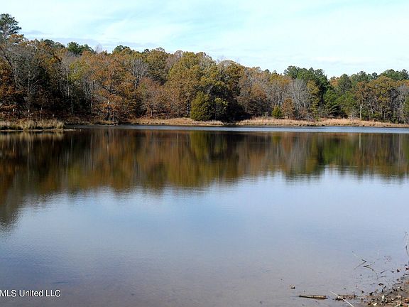 3rd image of 3199 Sardis Lake Dr