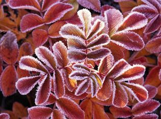 5745 Shimerville Rd, Clarence Center, NY 14032