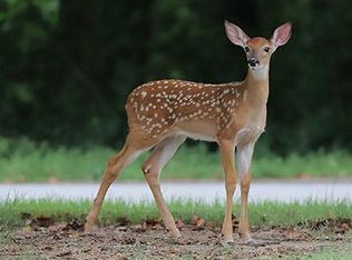 Bernardine Rd, East Stroudsburg, PA 18302