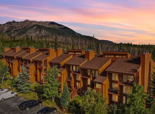 91300 Ryan Gulch Rd #321, Silverthorne, CO 80498