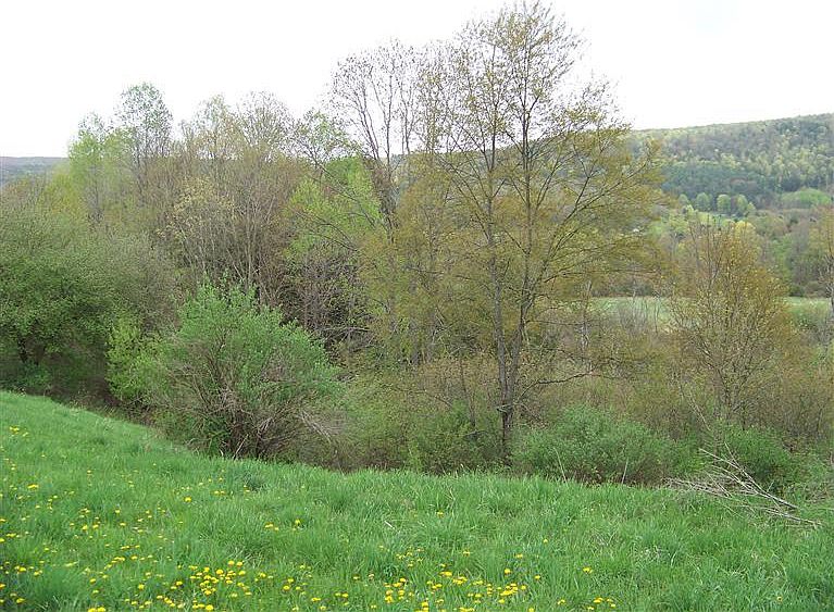 2nd image of 122 Cherry Valley Creek Ln
