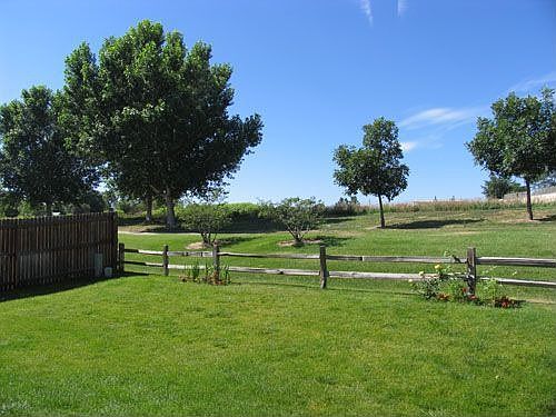 Rear Open Space