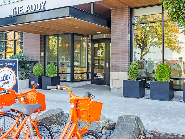 The Addy — Photo 34