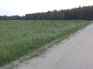 Wheaton Road, Odum, GA 31555