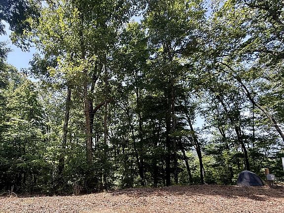 5th image of LOT 26 Grand Laurel