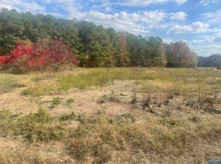 20 Morgan Ln, Section, AL 35771