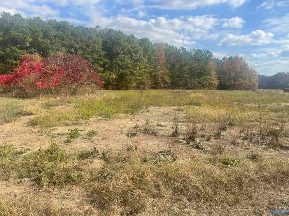20 Morgan Ln, Section, AL 35771