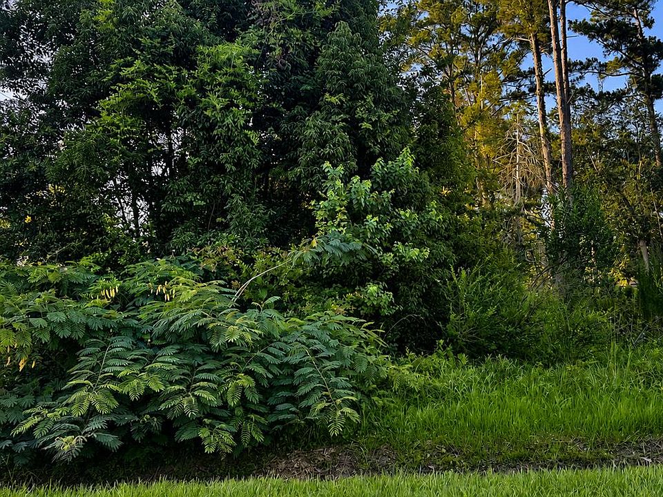 1st image of LOT 10 Chipola Ave