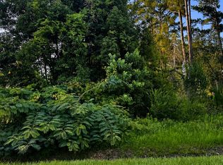 LOT 10 Chipola Ave, Wewahitchka, FL 32465