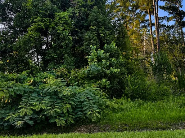 LOT 10 Chipola Ave, Wewahitchka, FL 32465