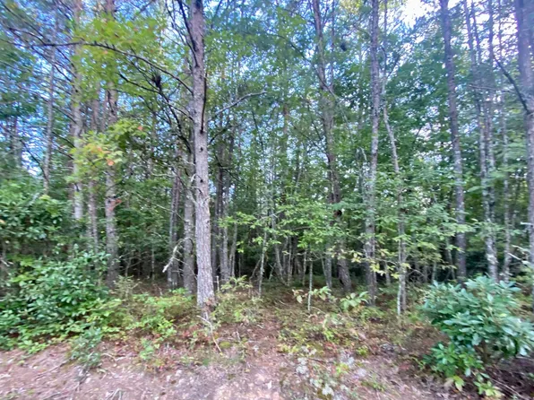 Highland Gap, Mineral Bluff, GA 30559