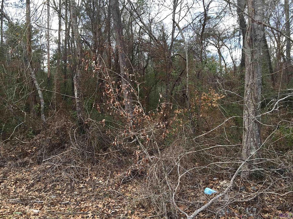 2nd image of Rural Tract La Hwy #1036
