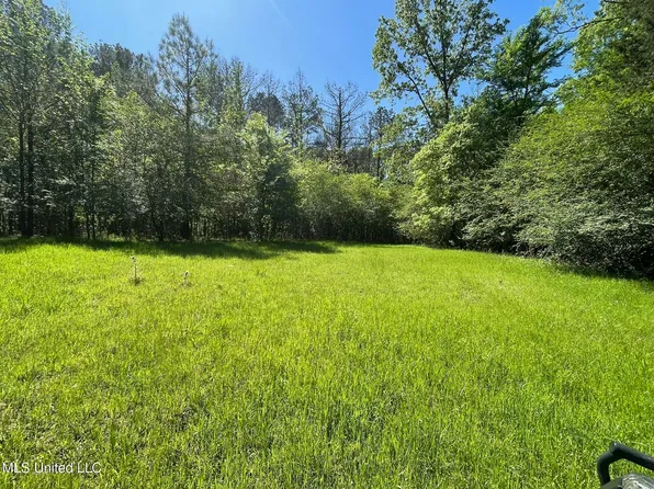 0 Us Highway 51, Pickens, MS 39146