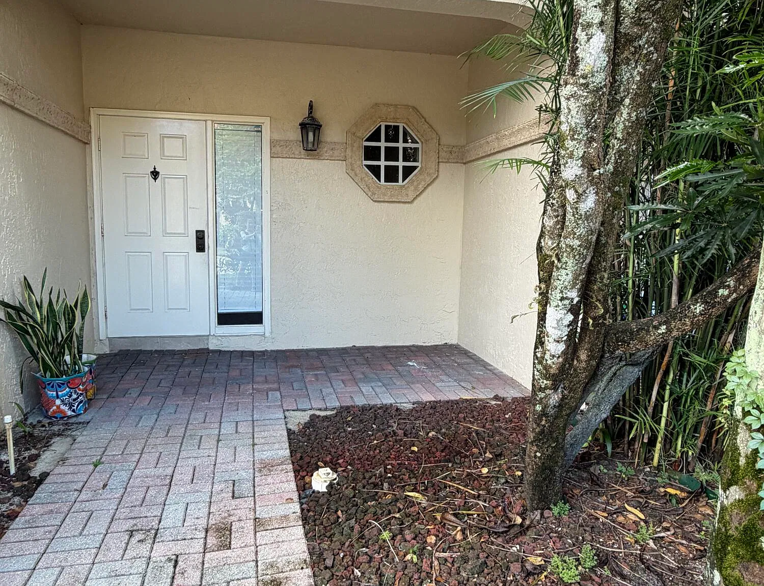 3 bed, 2.5 bath, 1549 sqft, $3,800 — Photo 2