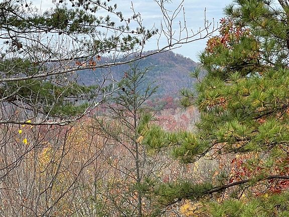 5th image of LOT 2 Caney Crk