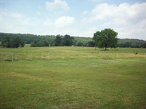 3rd image of 812 County Road 3281
